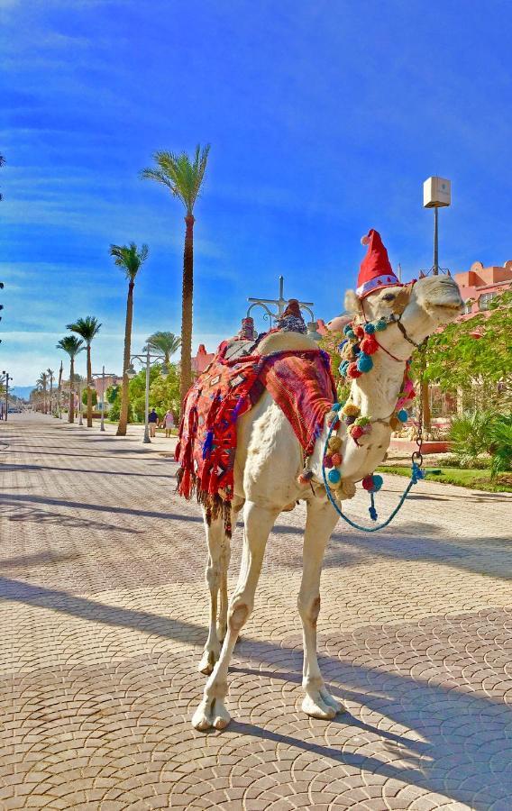 The Touristic Promenade Apartment Hurghada Eksteriør billede